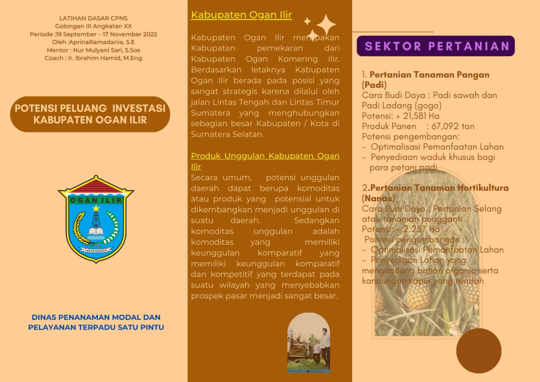 Leaflat Promosi Investasi Daerah Kabupaten Ogan Ilir